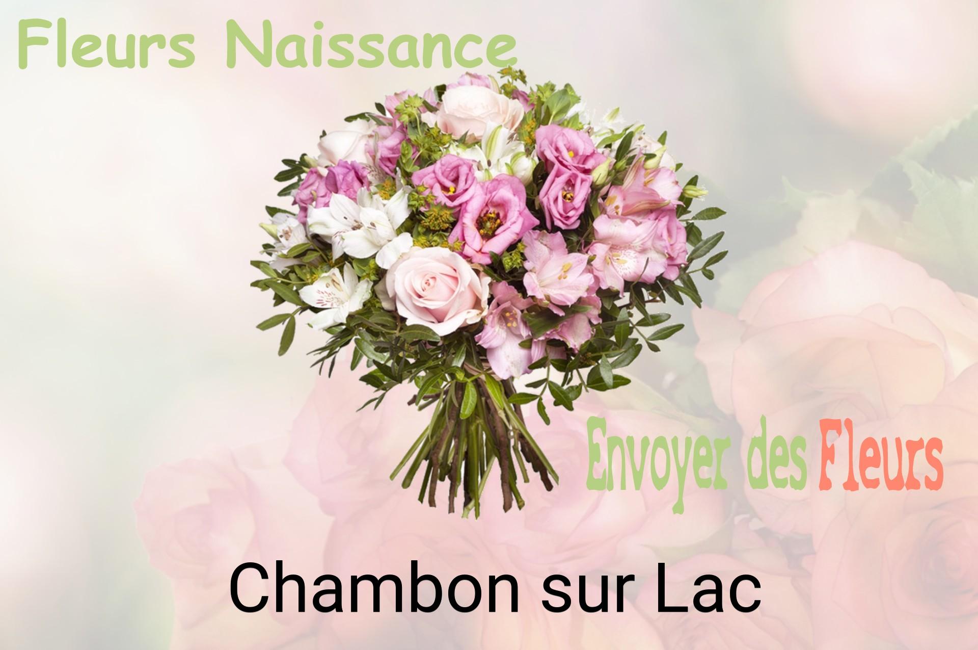 Bouquet de fleurs de naissance livré à Chambon-sur-Lac